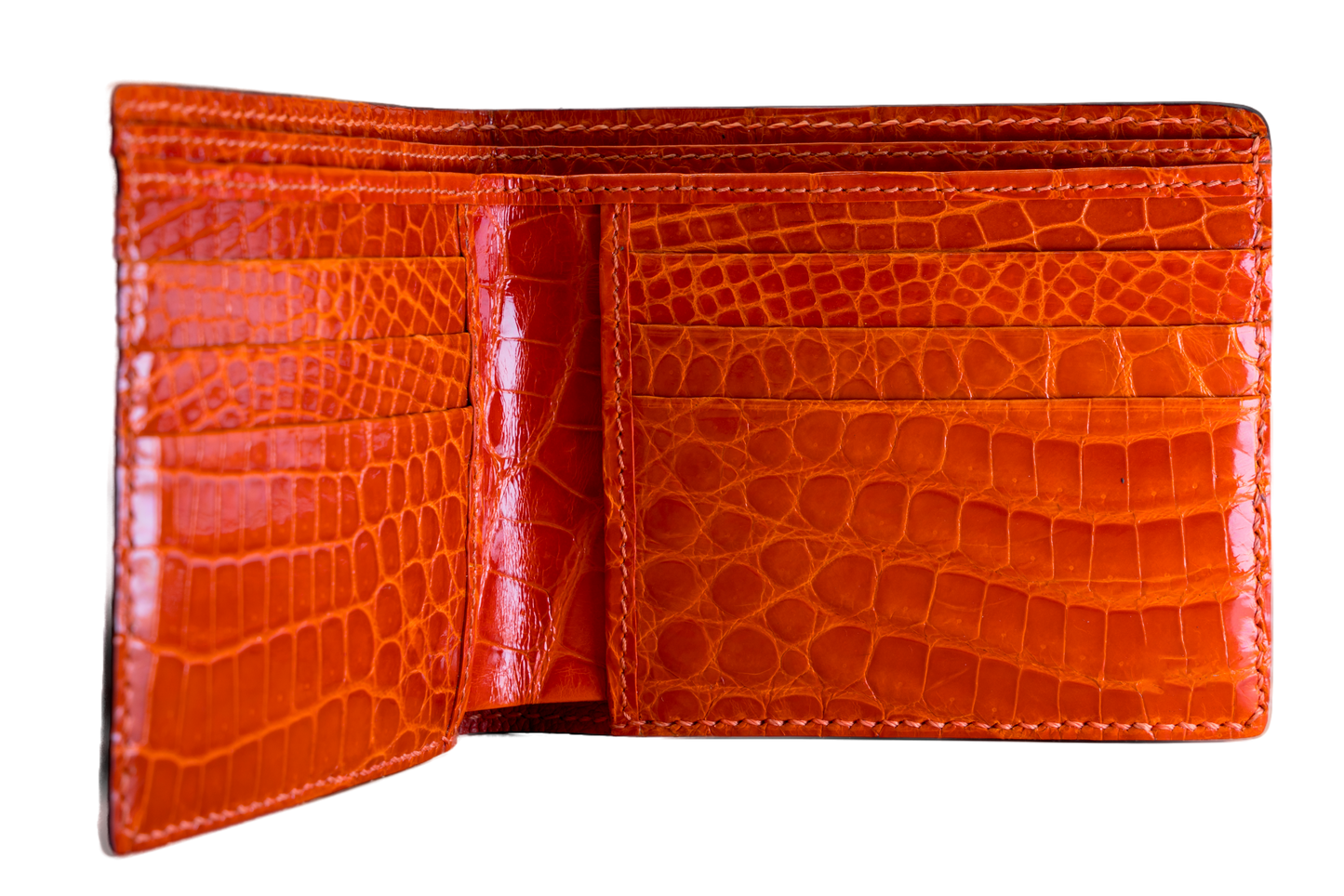 Bifold Wallet - Himalayan Crocodile