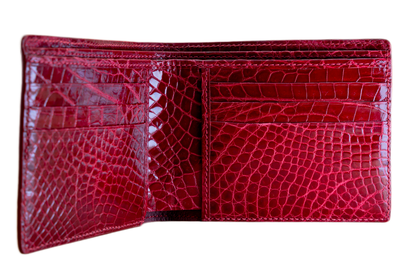 Bifold Wallet - Himalayan Crocodile