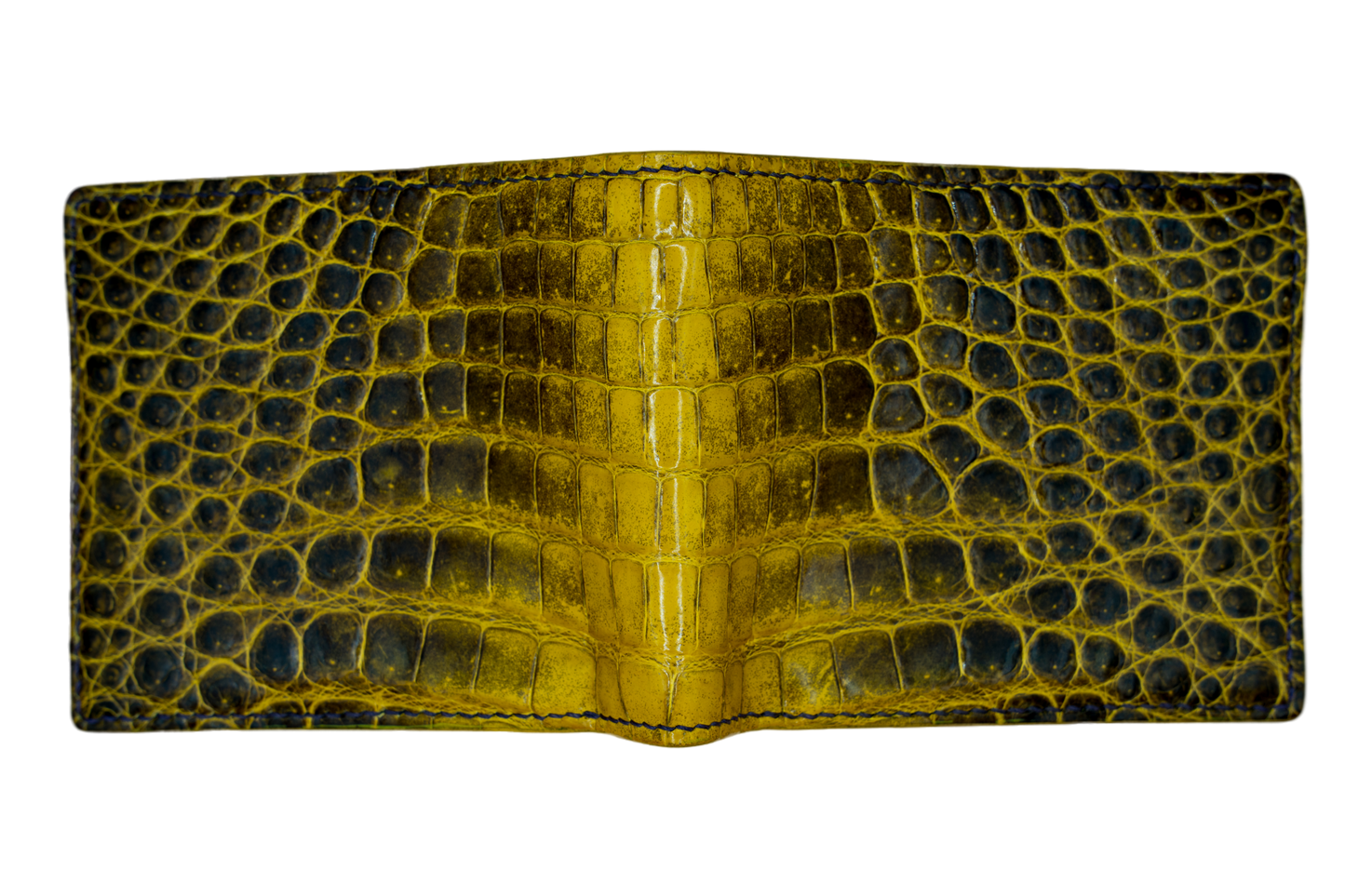 Bifold Wallet - Himalayan Crocodile