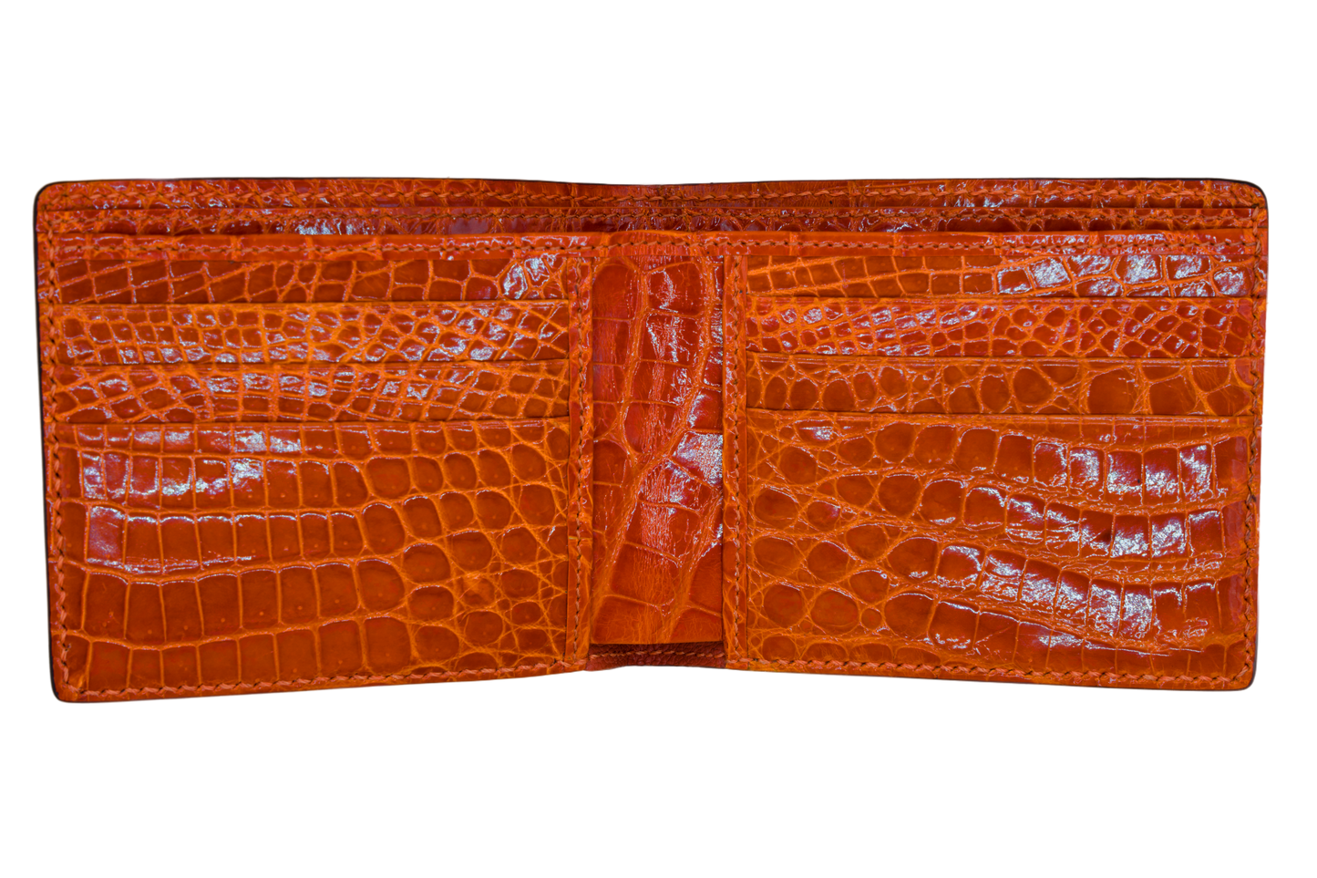 Bifold Wallet - Himalayan Crocodile