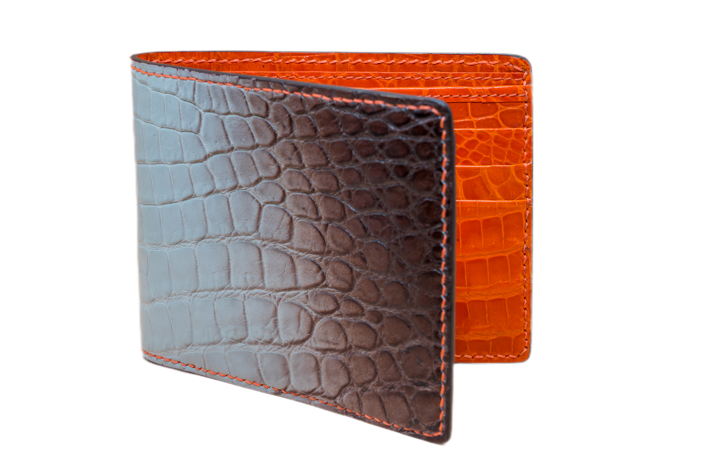 Bifold Wallet - Himalayan Crocodile