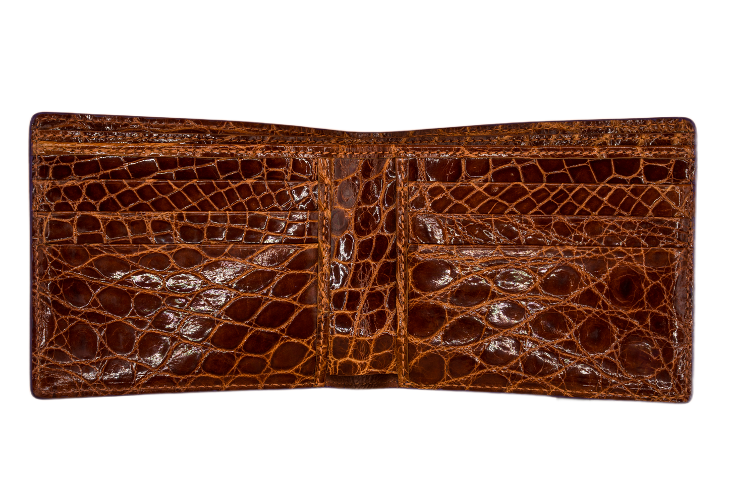 Bifold Wallet - Himalayan Crocodile