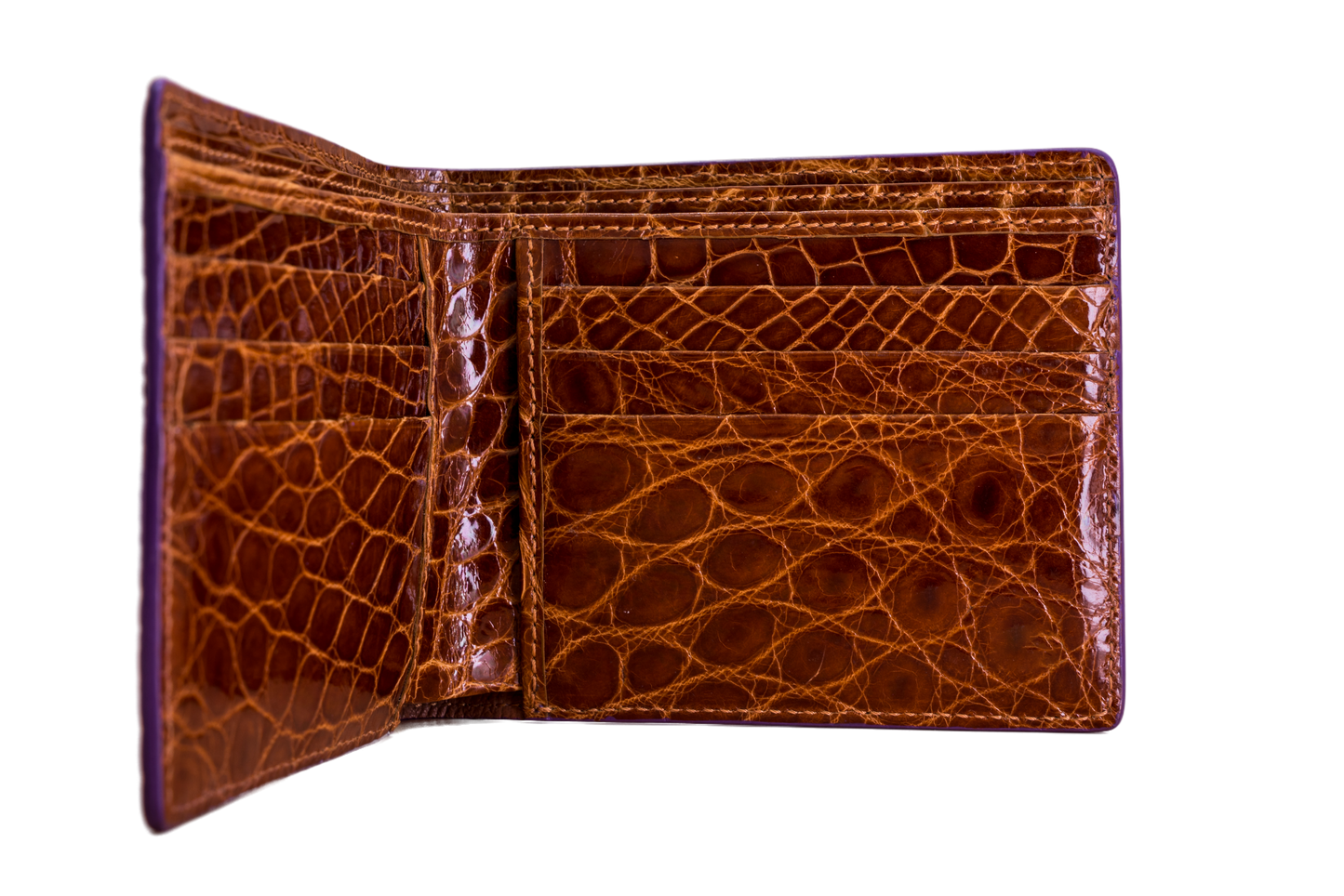 Bifold Wallet - Himalayan Crocodile