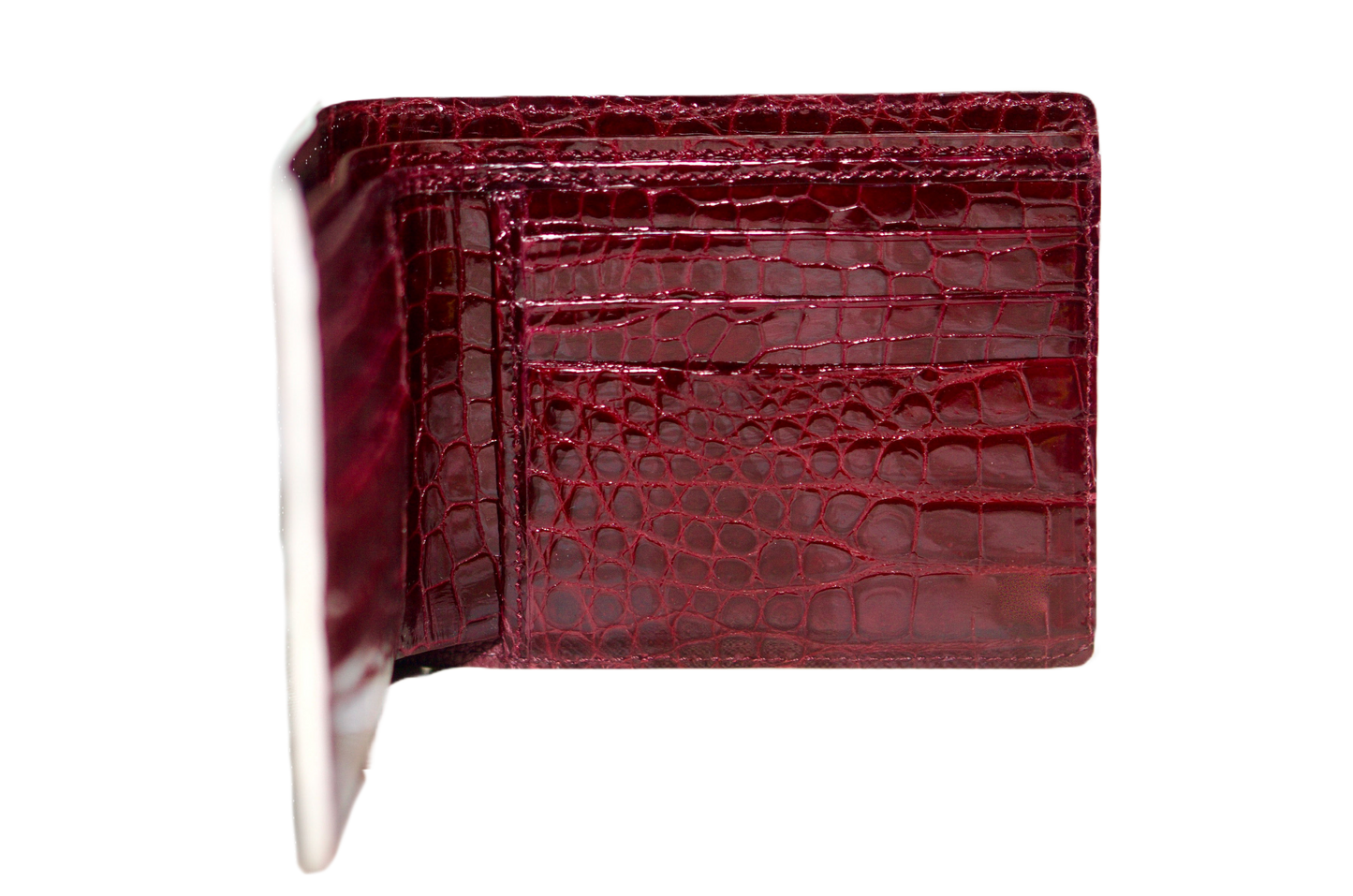 Bifold Wallet - Himalayan Crocodile